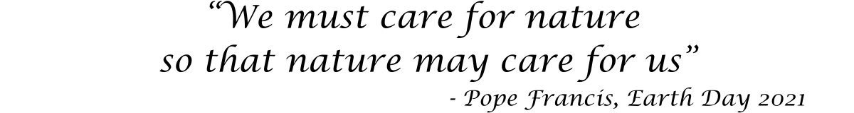 Laudato Si Text