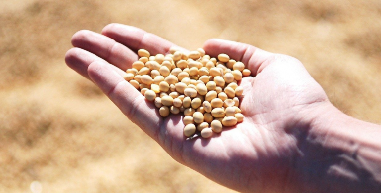 Pope: Overcoming hunger is one of humanity’s great challenges In a message to the Director General of the UN’s Food and Agriculture Organization, Pope Francis says we must adopt “innovative solutions” to transform the way we produce and consume food “for the well-being of people and of the planet.”