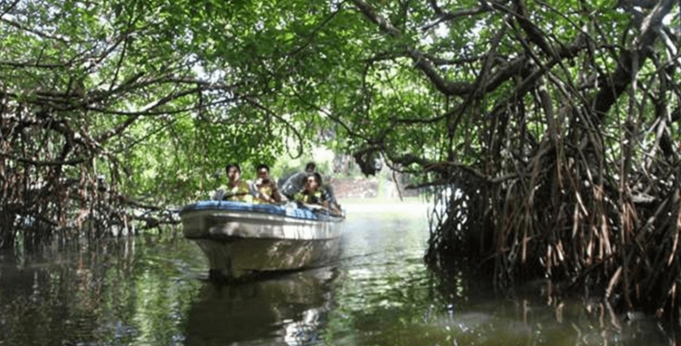 Sri Lanka Church opposes government takeover of wetlands Sri Lanka’s Catholic Church is opposing the government acquisition of a part of the Muthurajawela wetlands near Negombo saying it would affect the livelihood of local people and harm the environment.