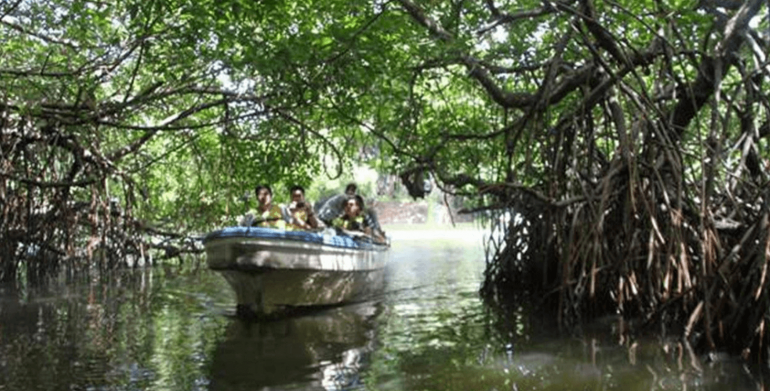 Sri Lanka’s Catholic Church is opposing the government acquisition of a part of the Muthurajawela wetlands near Negombo saying it would affect the livelihood of local people and harm the environment.