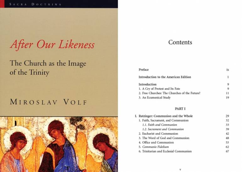 Miroslav volf After Our Likeness