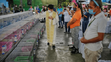 An Oblates missionary priest in the Philippines has been breeding rabbits for a year now to feed the poor in his parish in the outskirts of the Philippine capital.