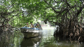 Sri Lanka’s Catholic Church is opposing the government acquisition of a part of the Muthurajawela wetlands near Negombo saying it would affect the livelihood of local people and harm the environment.