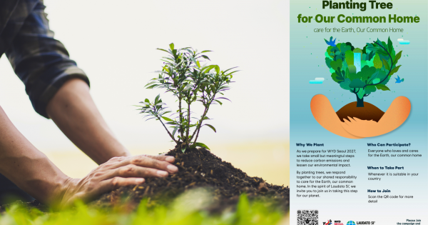 Ahead of WYD 2027, Laudato Si' Movement Launches Global Tree-Planting Campaign