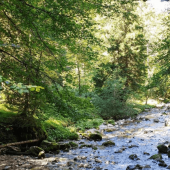 A special e-book features forewords by Pope Francis and UN Secretary General Guterres. Titled "Laudato si' Reader. An Alliance of Care for Our Common Home," the work presents reflections and reactions to the encyclical Laudato si' around the world. From 12 November it will be available as a free download from the website of the Dicastery for Integral Human Development, which promoted its publication through Libreria Editrice Vaticana (LEV).