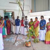 Indian Madurai Archdiocese celebrated Pongal – a harvest festival to stress egalitarian value in Tamil culture on January 13.